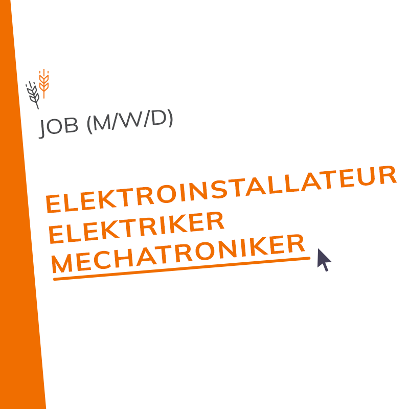 ELEKTROINSTALLATEUR / ELEKTRIKER / MECHATRONIKER (M/W/D)