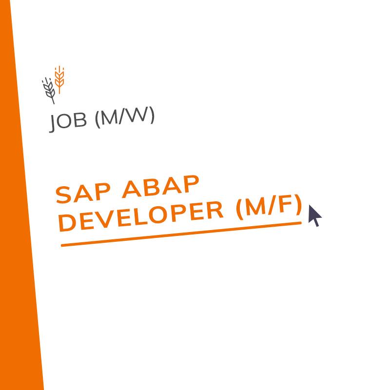 Développeur SAP ABAP (h/f) / SAP ABAP Developer (m/w)