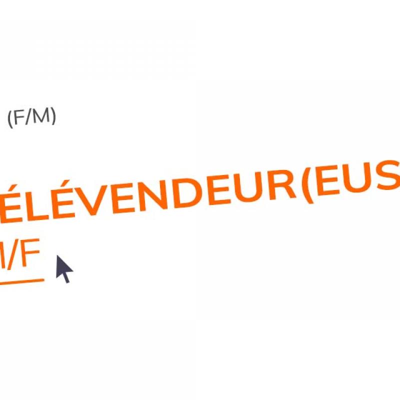 Télévendeur(euse) M/F