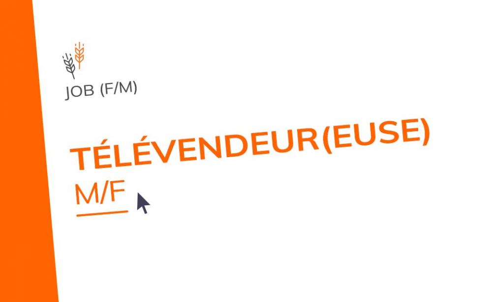 Télévendeur(euse) M/F