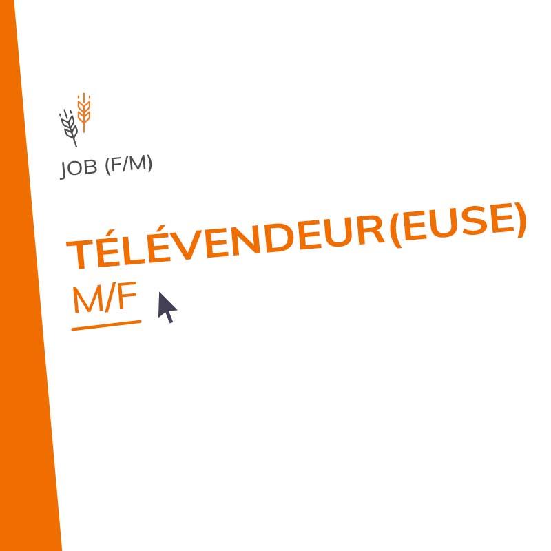 Télévendeur(euse) M/F